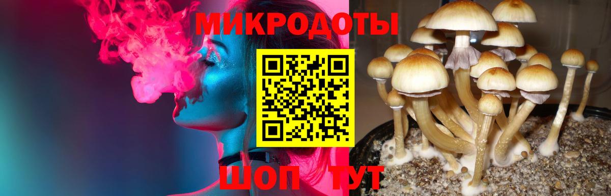 Псилоцибиновые грибы прущие грибы Липецк